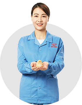 凯时|AG(Asia Gaming)优质运营商