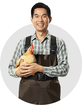 凯时|AG(Asia Gaming)优质运营商